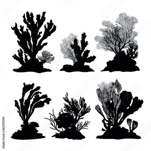 vector illustration of coral reef silhouette set, Black & White silhouette set