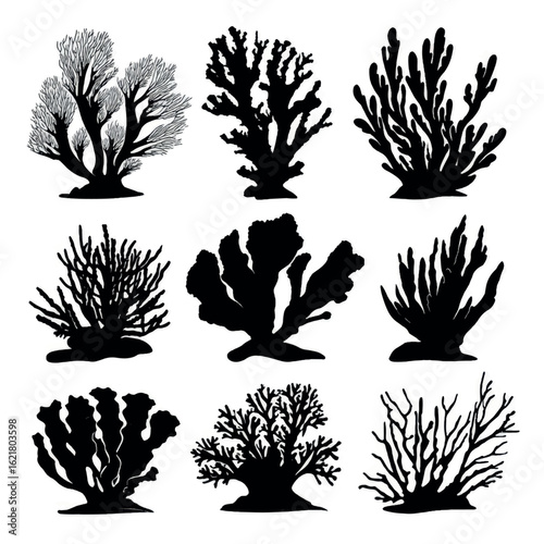 vector illustration of coral silhouette set, Black & White silhouette set