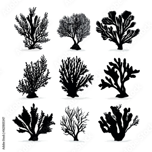 vector illustration of coral silhouette set, Black & White silhouette set
