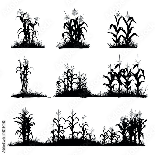 vector illustration of cornfield silhouette set, Black & White silhouette set