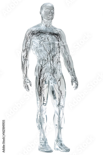 Transparent person on a transparent background. For designers, marketers. Space for text.