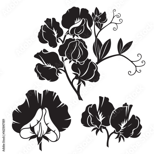 High-Impact Sweet Pea Flower and Vine Silhouette Set