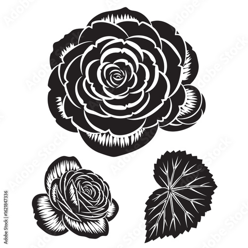 Graphic Begonia Flower and Leaf Block-Print Style Set