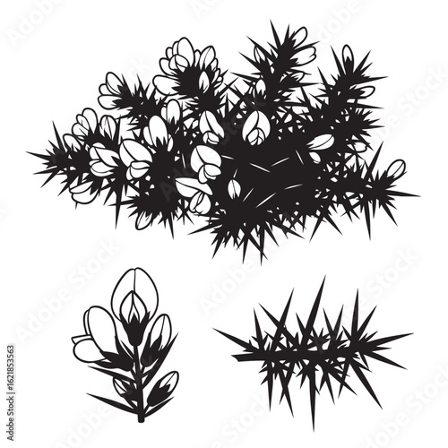 Bild auf Leinwand High-Impact Gorse Branch and Flower Silhouette Set