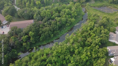 Riverbank, forest, curved summer river