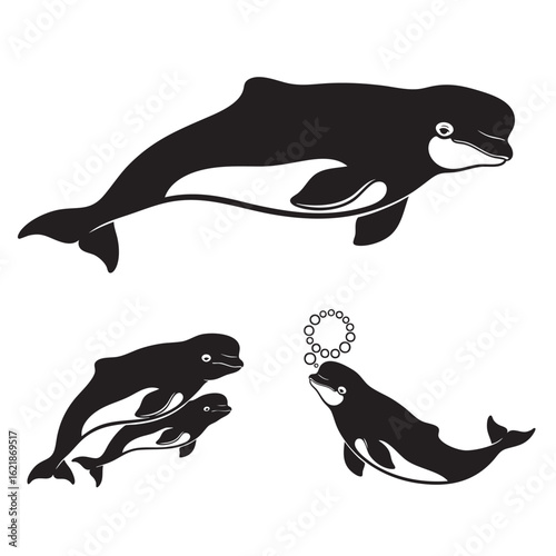 Beluga Whale Silhouettes as a Cetacean Icon Set
