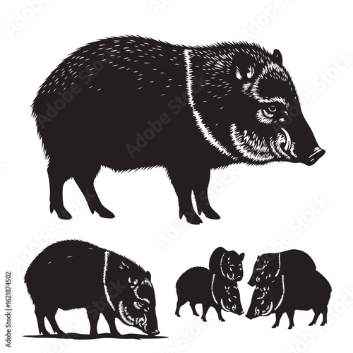 Set of 3 Collared Peccary Silhouettes as a Javelina Icon Set