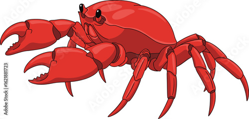 Red crab illustration, detailed crustacean artwork, sea animal drawing, marine life concept, ocean creature, vibrant educational image, cartoon crustacean