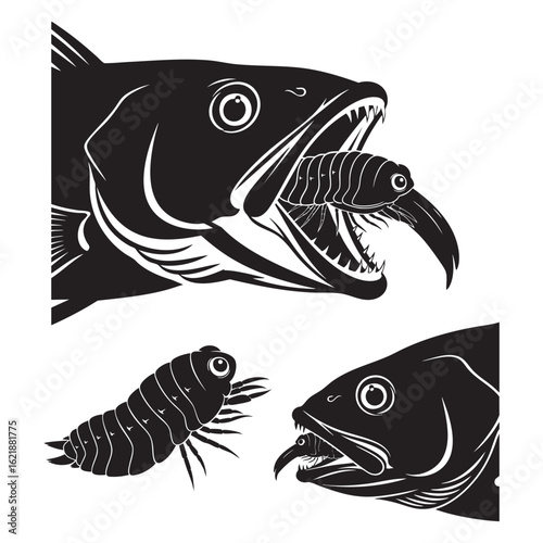 Set of 3 Cymothoa exigua Silhouettes as a Tongue Eating Louse Set