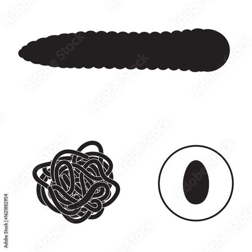 Set of 3 Ascaris Roundworm Silhouettes as a Nematode Icon Set