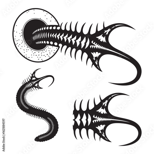 Set of 3 Thorny headed Worm Silhouettes as an Acanthocephala Set
