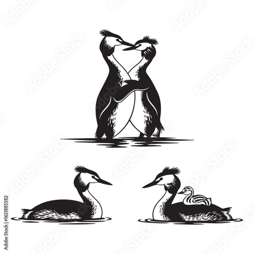 Set of 3 Great Crested Grebe Silhouettes as a Waterbird Icon Set