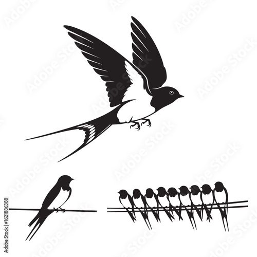 Set of 3 Swallow Silhouettes as a Forked Tail Bird Icon Set
