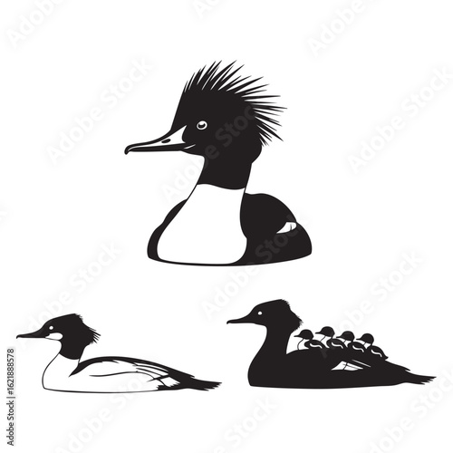 Set of 3 Merganser Silhouettes as a Sawbill Duck Vector Icon Set