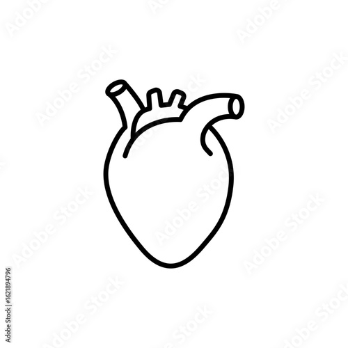 Heart Icon, Human Organ Symbol, Line Style Vector for Cardiology and Anatomy Illustration.