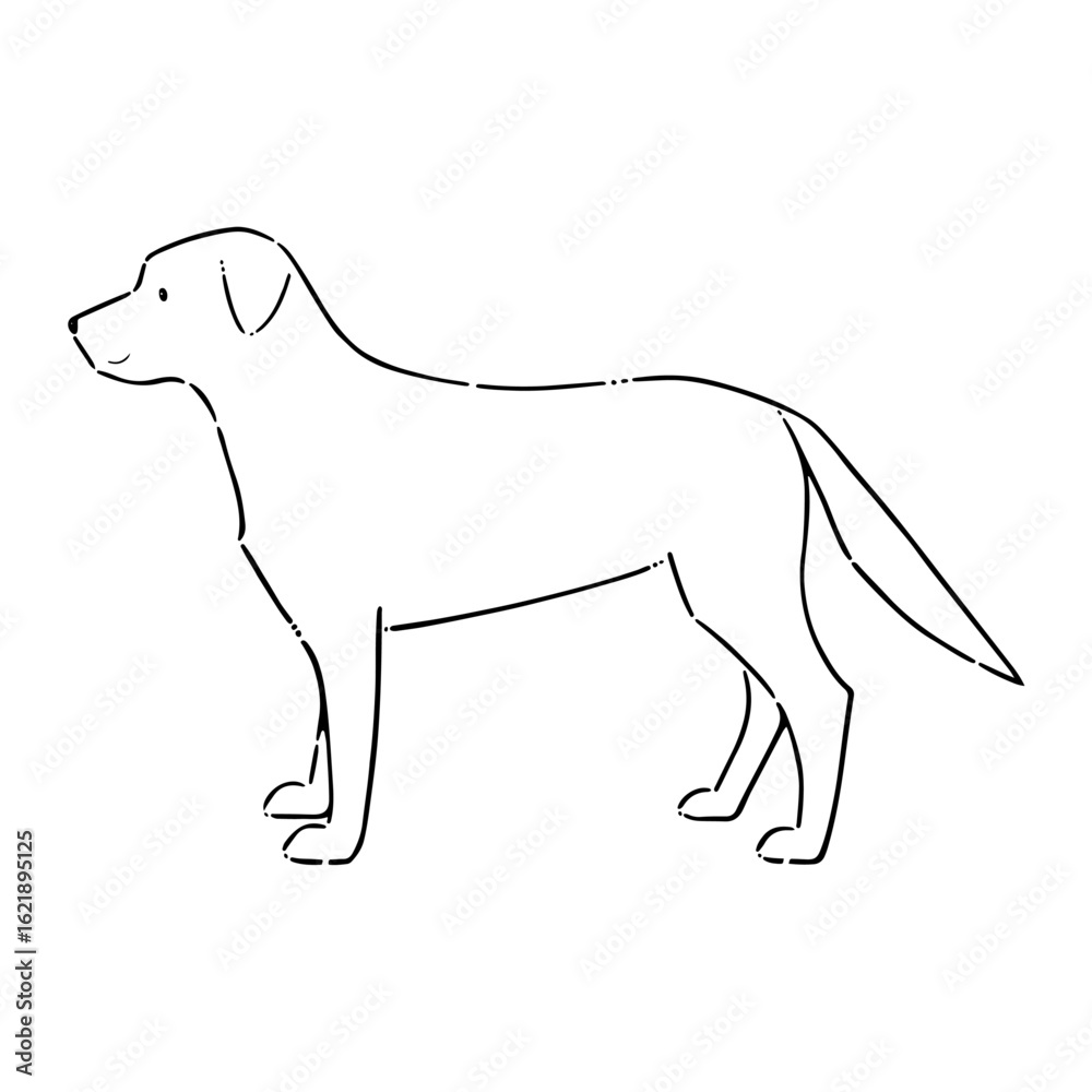 Fototapeta premium 大型犬（ゴールデンレトリバー）の線画イラスト