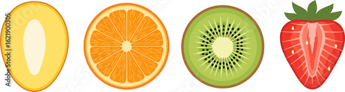 Vector illustration set of colorful fresh fruit slices. A cross-section collection of melon, orange, kiwi, and strawberry.