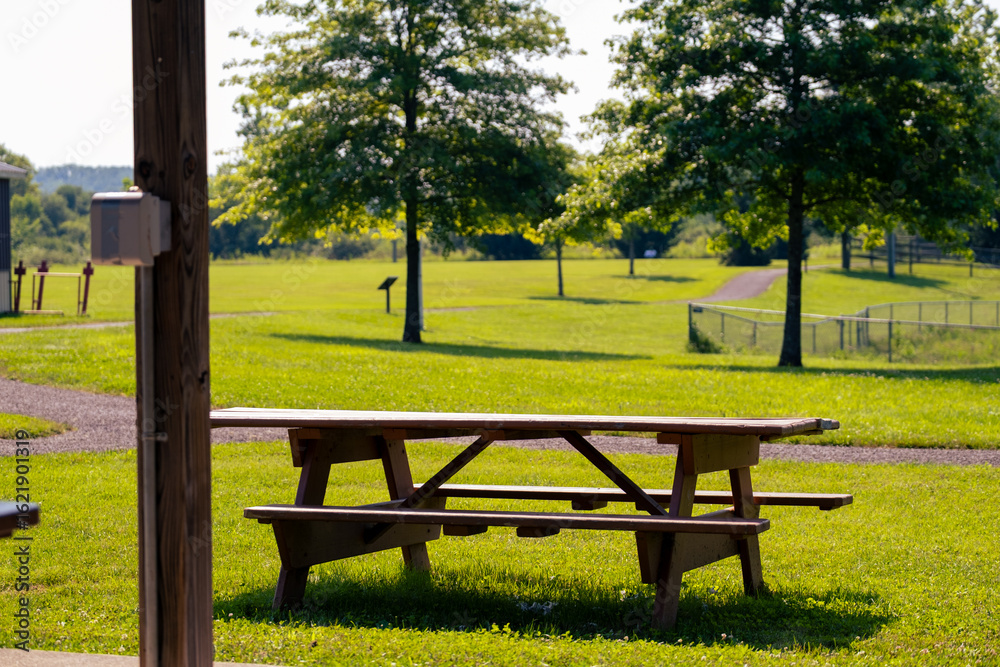 Fototapeta premium Wooden picnic table under trees in a sunny park on a warm day