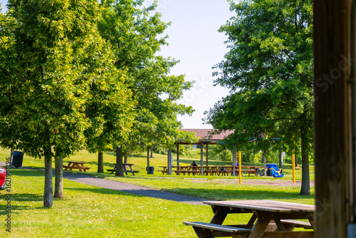 Fototapeta Naklejka Na Ścianę i Meble -  Wooden picnic table under trees in a sunny park on a warm day