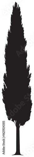 Cypress tree silhouette element