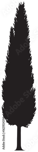 Cypress tree silhouette element