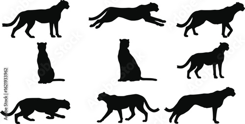 Cheetah silhouettes in various poses