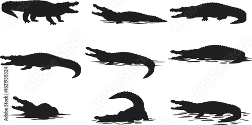 Crocodile silhouettes in water