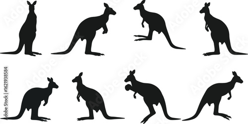 Kangaroo silhouettes various poses