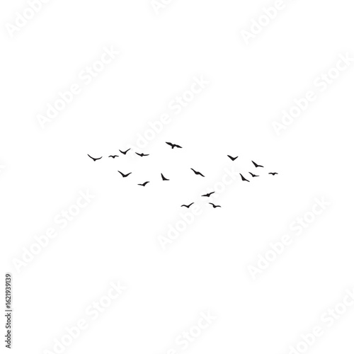 Flying birds.Vector Illustration 