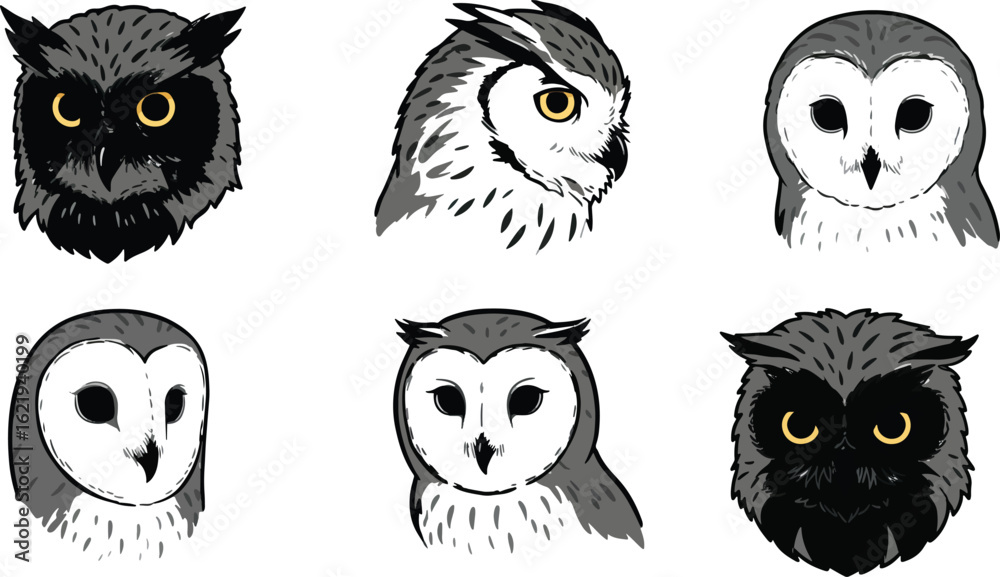 Fototapeta premium Owl portraits grayscale illustrations