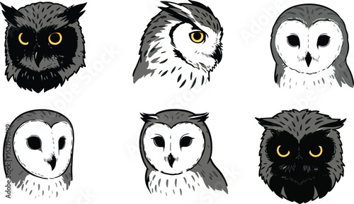 Owl portraits grayscale illustrations