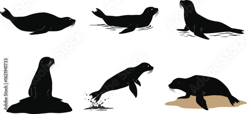 Sea lion silhouettes vector illustrations