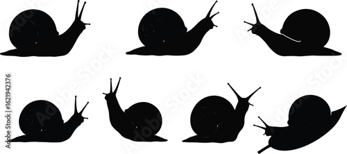 Silhouette snails various positions graphic design