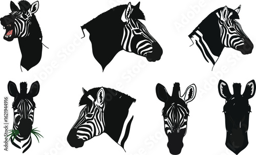 Zebra silhouettes graphic design illustration