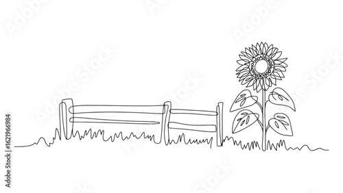 Continuous Line Drawing of Sunflower and Fence on Transparent Background in Rural Style