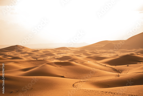 Fototapeta Naklejka Na Ścianę i Meble -  sand dunes in the desert