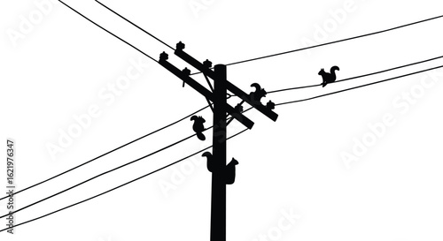 Silhouette of squirrels climbing and sitting on electric pole and wires, playful wildlife scene, black vector illustration, urban nature concept