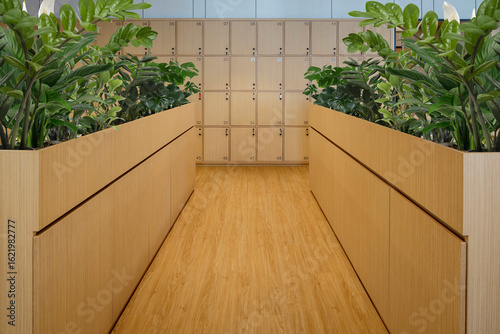 Modern office locker room with wooden cabinets and lush artificial ZZ plants (Zamioculcas zamiifolia), creating a clean and organized workspace.