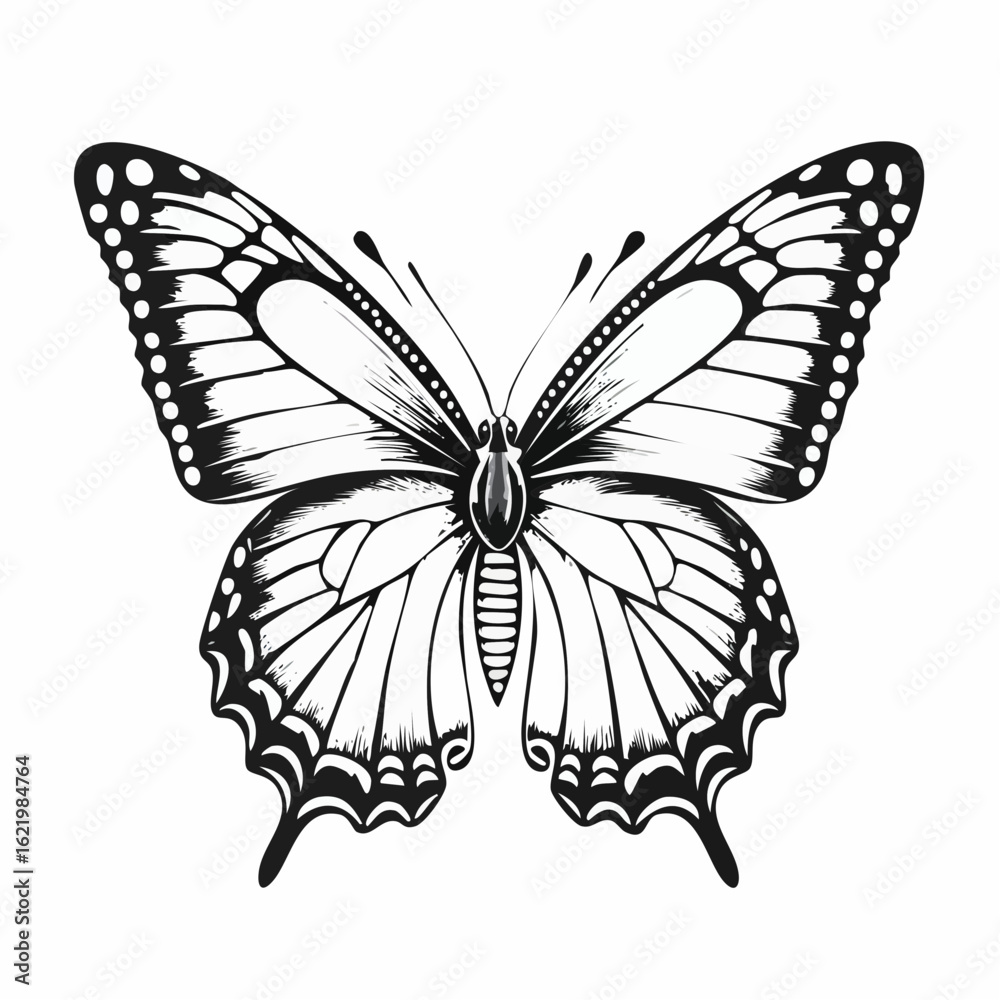 Obraz premium coloring page butterfly