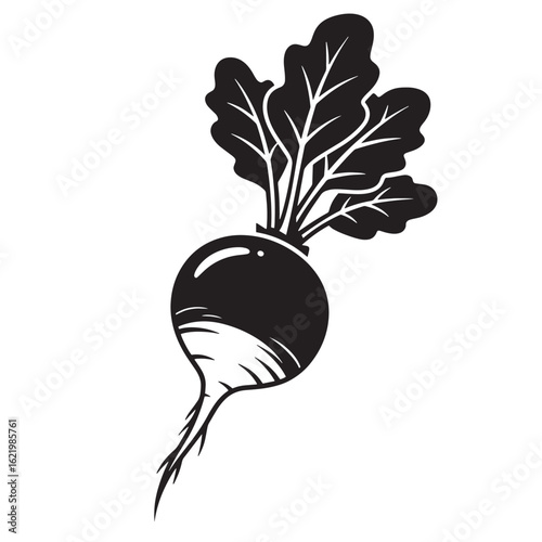 Artistic black and white illustration of a freshly harvested beetroot with vibrant green leaves