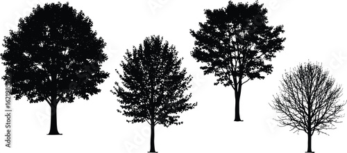 Set of isolated tree silhouettes, various deciduous species, natural shapes, seasonal variation, perfect for landscape design, illustration, and eco concepts.