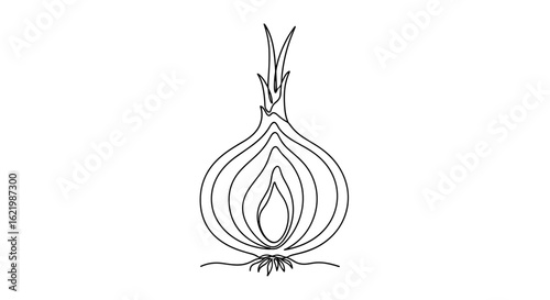 Line art illustration of an onion with detailed layers  