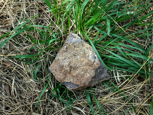 Close-up shot of a textured rock surface showcasing earthy tones of brown, red, and gray