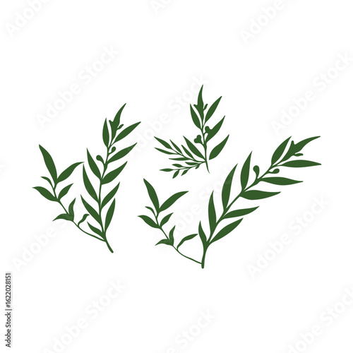Dark green stylized sprigs of leaves and branches arranged in a simple design.