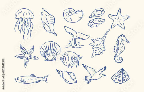 hand drawn summer sketch element with fish and shellfish collection