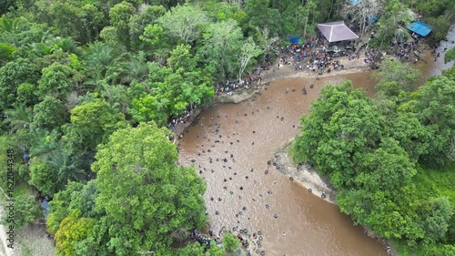 Traditional fishing by the Dayak tribe in East Barito, Central Kalimantan using a long spear called Tariuk
