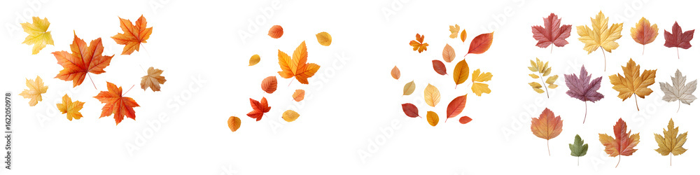 Obraz premium Autumn Leaves Collection Isolated on White Background