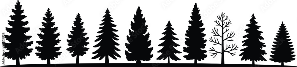 Obraz premium Evergreen trees forest silhouette nature pine trees