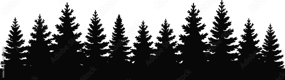 Obraz premium Evergreen forest silhouette trees pine