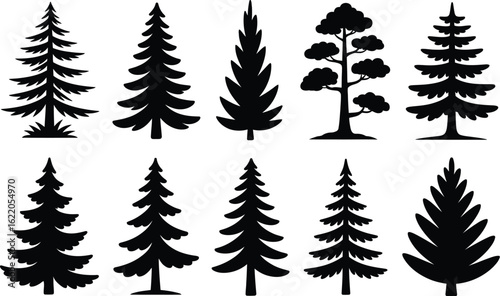 Evergreen trees forest collection pine trees fir trees